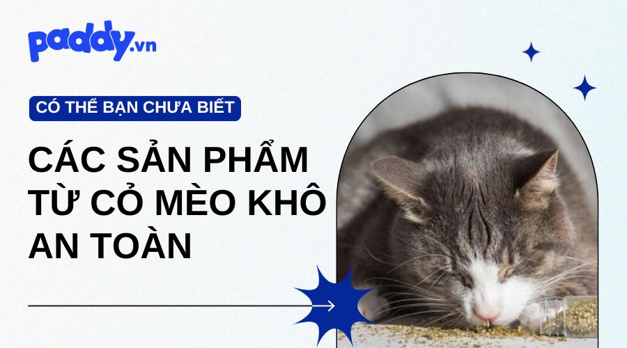 Các Sản Phẩm Từ Cỏ Mèo