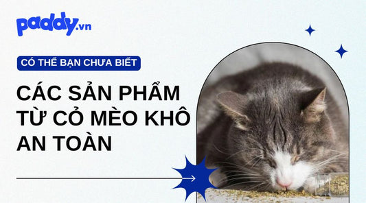 Các Sản Phẩm Từ Cỏ Mèo