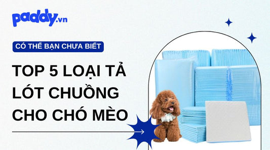 Top 5 sản phẩm tả lót chuồng chó mèo được yêu thích nhất hiện nay