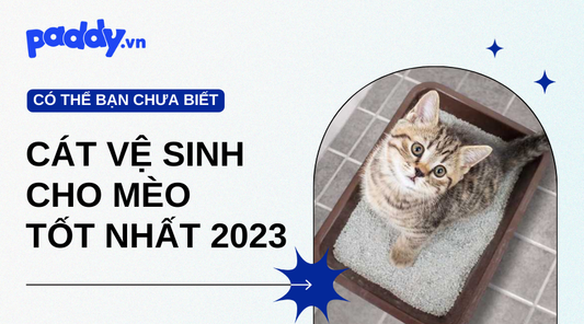 Các Loại Cát Vệ Sinh Cho Mèo Tốt Nhất 2023 - Paddy Pet Shop