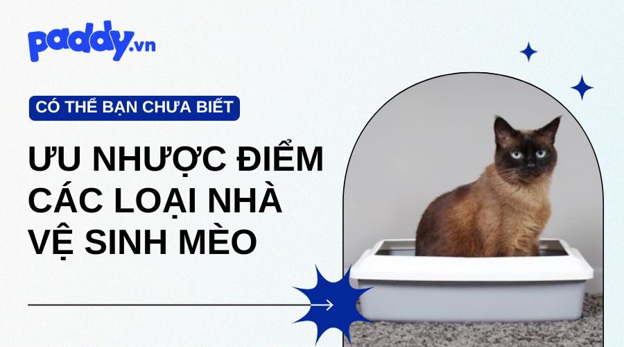 Ưu và nhược điểm của các loại nhà vệ sinh mèo