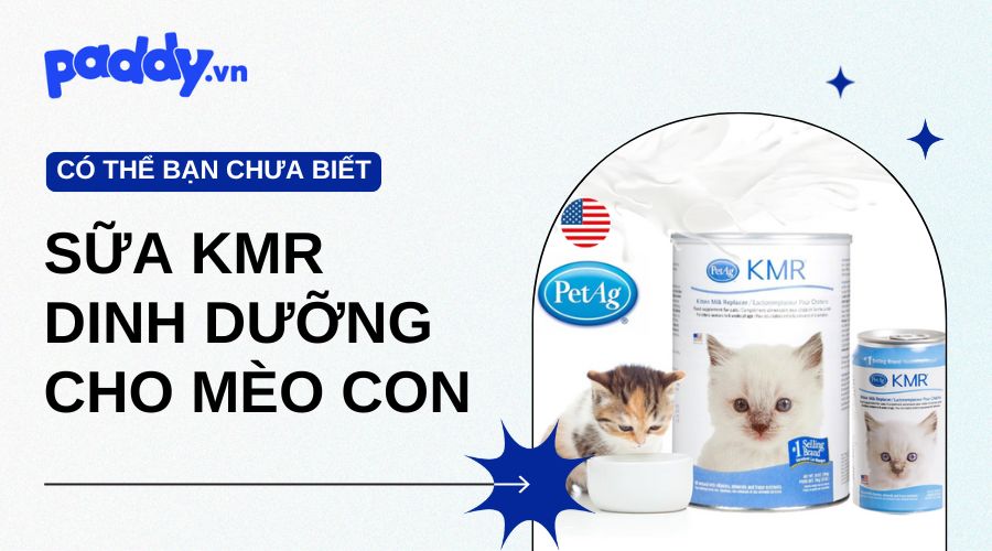 Sữa KMR thay thế sữa mèo mẹ, bổ sung đủ chất cho mèo con - Paddy Pet Shop