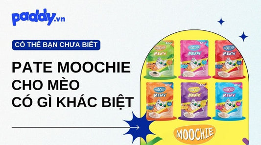 Khám Phá Sự Khác Biệt Với Pate Moochie Cho Mèo Cưng Của Bạn - Paddy Pet Shop