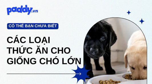 thức ăn cho giống chó lớn