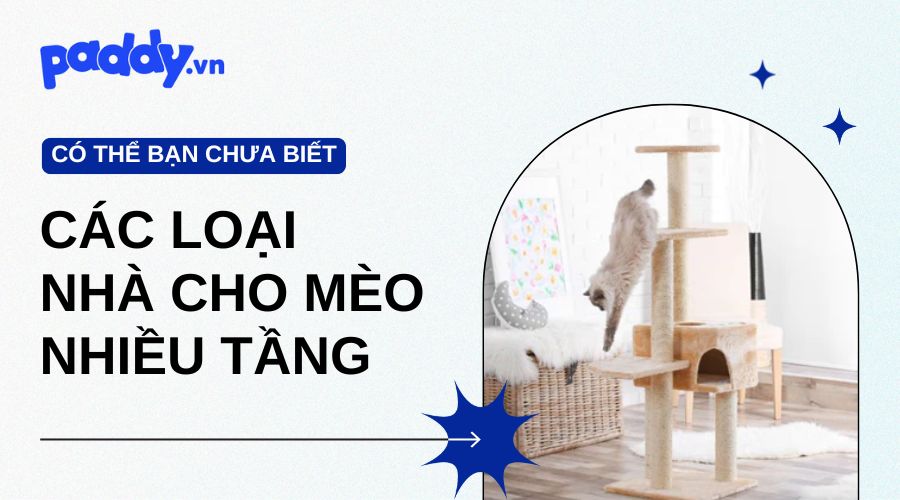 Các loại nhà cho mèo nhiều tầng