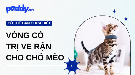 Tìm Hiểu Về Vòng Cổ Trị Ve Rận Cho Chó Mèo