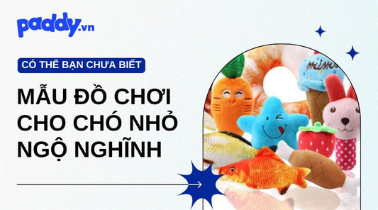 đồ chơi cho chó con, chó nhỏ