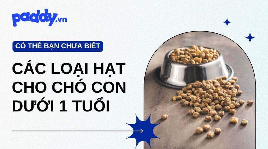 Các loại hạt chó chó con dưới 1 tuổi