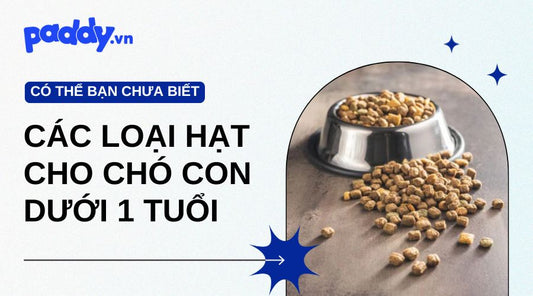 Các loại hạt chó chó con dưới 1 tuổi