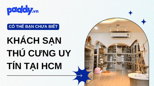 Tổng Hợp Khách Sạn Thú Cưng Uy Tín Tại HCM