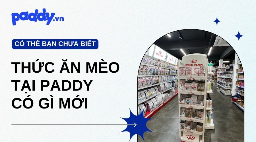 Cửa Hàng Thức Ăn Cho Mèo Paddy Có Gì Mới - Paddy Pet Shop