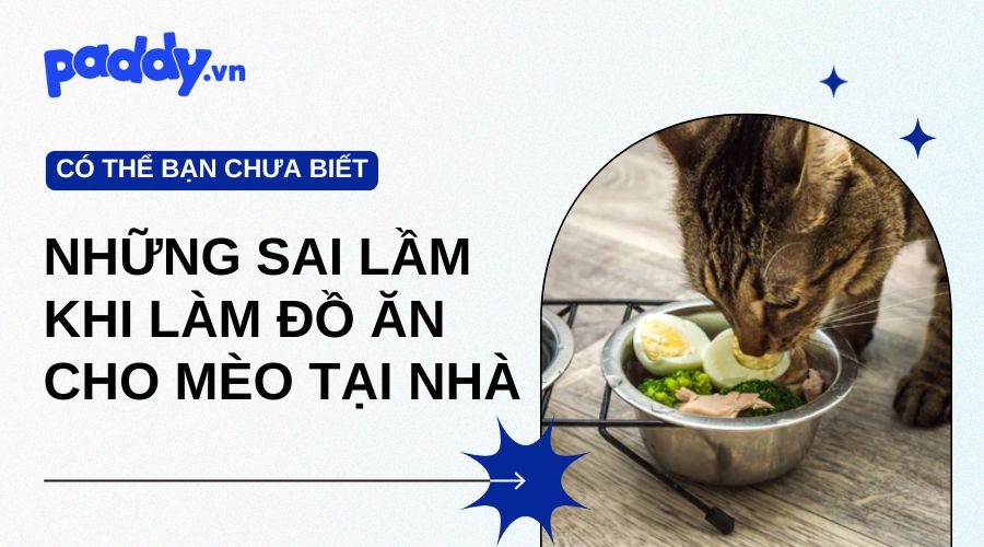 Những Sai Lầm Khi Làm Đồ Ăn Cho Mèo Tại Nhà