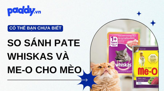 So sánh pate cho mèo Whiskas và Me-O - Đâu là lựa chọn phù hợp cho mèo con và mèo lớn?