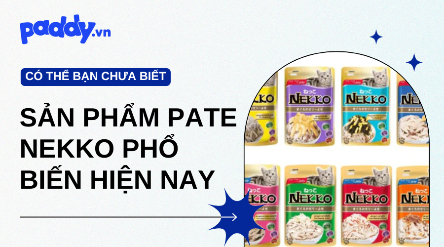 Các dòng sản phẩm pate Nekko phổ biến hiện nay