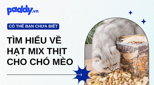 Tìm Hiểu Về Hạt Mix Thịt Cho Chó Mèo