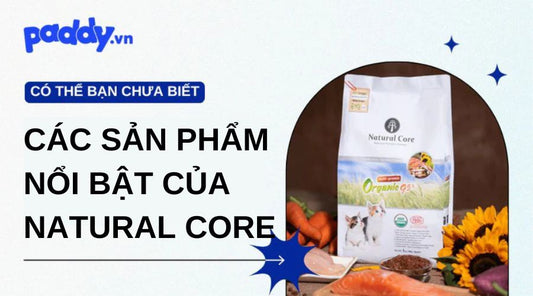 Những Sản Phẩm Nổi Bật Nhất Của Dòng Hạt Natural Core