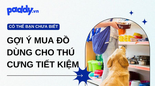 Gợi ý các mẹo mua sắm thông minh đồ dùng thú cưng siêu tiết kiệm