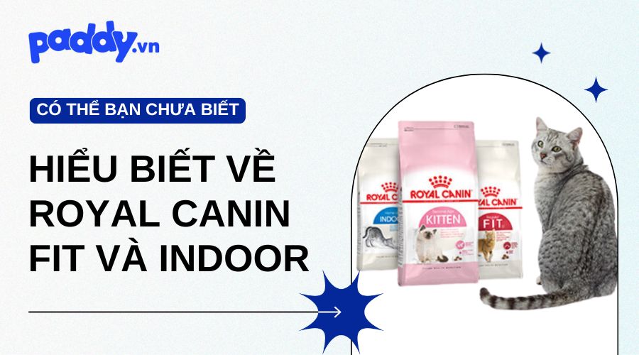 Hiểu Biết Về Royal Canin Fit Và Indoor