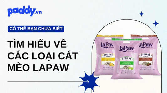 Tìm Hiểu Về Cát Mèo LaPaw Đủ Loại