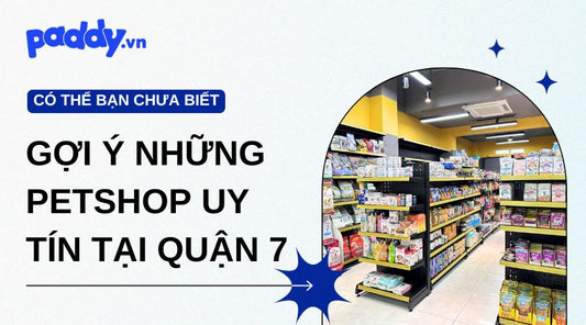 Gợi Ý Những Petshop Uy Tín Tại Quận 7 Mà Bạn Nên Biết
