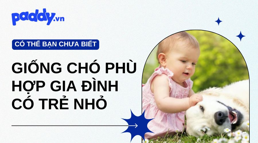 Giống chó phù hợp với gia đình có trẻ nhỏ