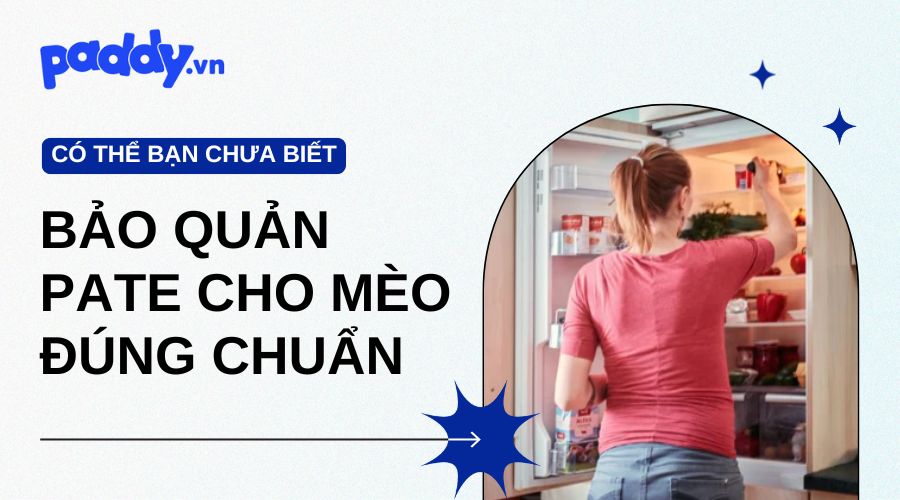 Cách bảo quản pate cho mèo