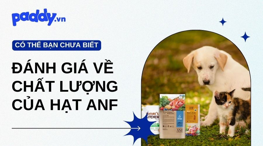 Đánh Giá Chung Về Chất Lượng Và Thành Phần Của Hạt ANF - Paddy Pet Shop