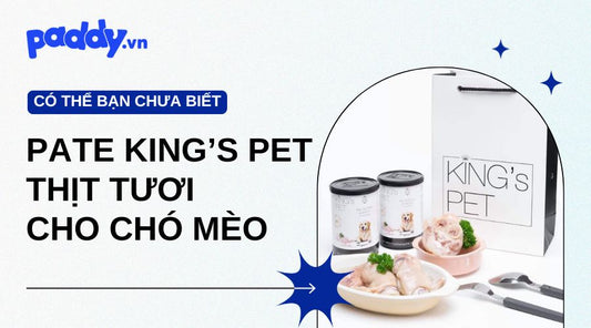 Pate King’s Pet Thịt Tươi Cho Chó Mèo Mọi Lứa Tuổi - Paddy Pet Shop