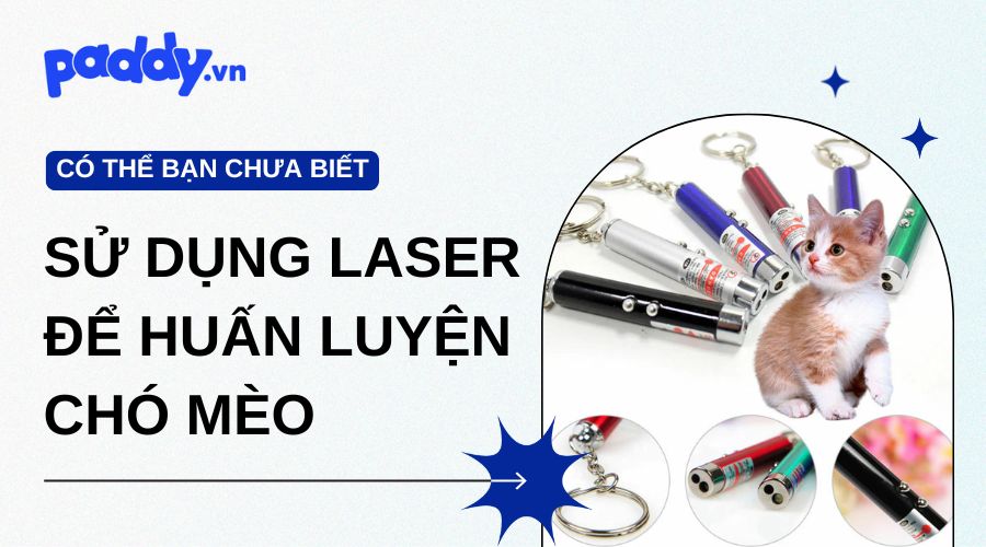 Hướng dẫn sử dụng laser huấn luyện chó mèo an toàn và hiệu quả