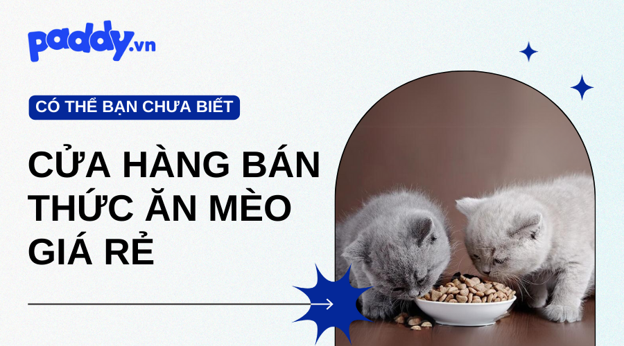 Cửa Hàng Bán Thức Ăn Cho Mèo Gần Đây Giá Rẻ - Paddy Pet Shop