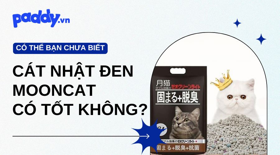 Đánh Giá Cát Nhật Đen Mooncat Có Tốt Hay Không?