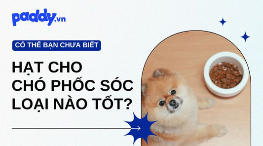 hạt cho chó phốc sóc