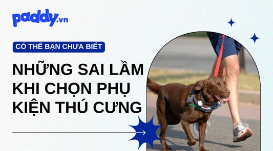 Những Sai Lầm Khi Chọn Phụ Kiện Thú Cưng