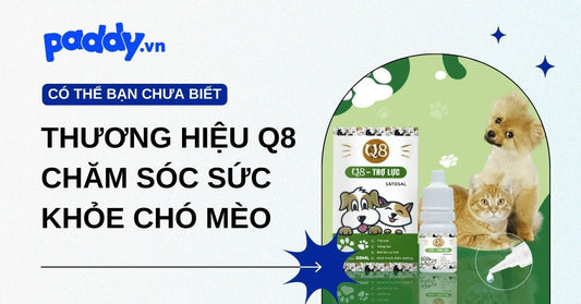 Tìm Hiểu Thương Hiệu Q8 Chăm Sóc Sức Khỏe Chó Mèo