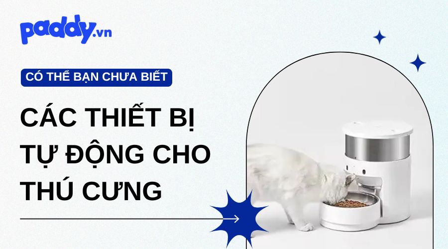 Các thiết bị tự động cho thú cưng khi chủ vắng nhà được ưa chuộng nhất