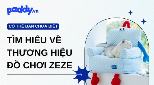 Tìm Hiểu Thương Hiệu ZEZE