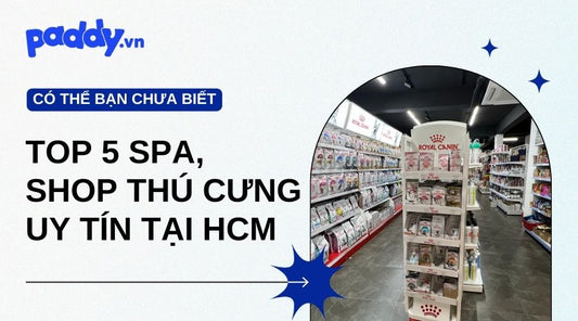 Top 5 Spa Thú Cưng, Shop Thú Cưng Chất Lượng TPHCM - Paddy Pet Shop