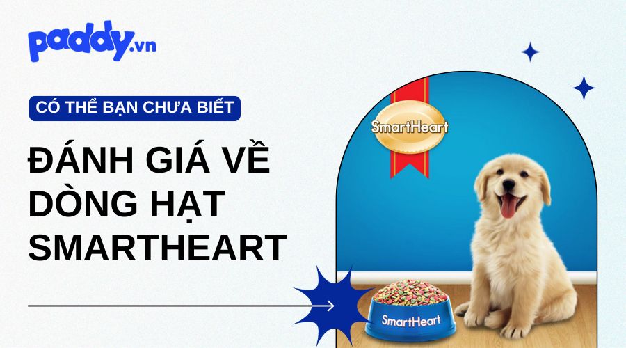 Đánh giá chung về dòng hạt Smartheart - Paddy Pet Shop