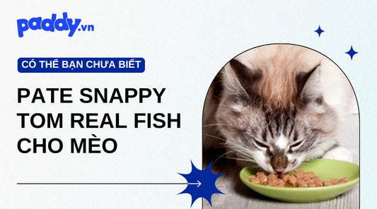 Pate Snappy Tom real fish