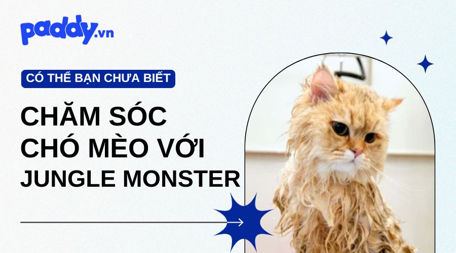 Chăm sóc chó mèo trọn gói với Jungle Monster