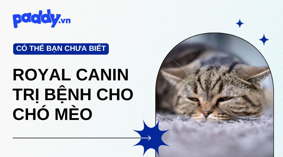 Các Loại Royal Canin Trị Bệnh Cho Chó Mèo