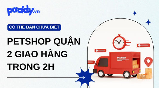 Tổng hợp các Petshop Quận 2 giao hàng nhanh trong 2h