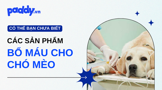 Sản Phẩm Bổ Máu Cho Chó Mèo