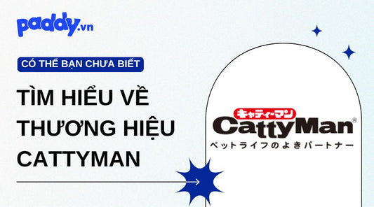 Tìm Hiểu Về Thương Hiệu CattyMan
