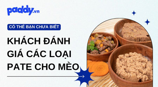 Khách đánh giá thế nào về các loại pate cho mèo hot hiện nay?
