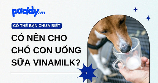 Có nên cho chó con uống sữa Vinamilk? Sự thật bạn cần biết