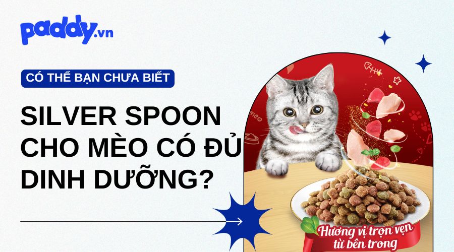 Phân Tích Giá Trị Dinh Dưỡng Của Hạt Cho Mèo Silver Spoon - Paddy Pet Shop