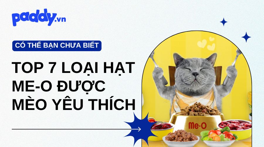 hạt thức ăn me o cho mèo