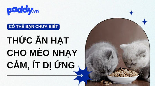 Thức ăn hạt cho mèo nhạy cảm, ít gây dị ứng