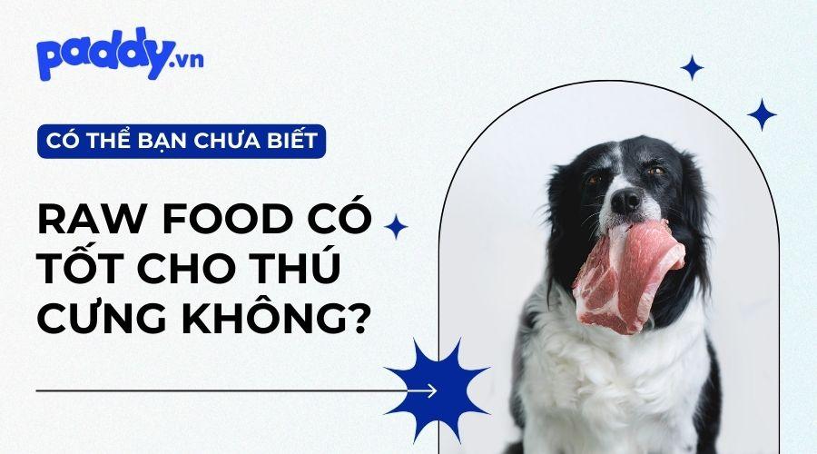 Có Nên Cho Chó Mèo Ăn Raw Food Không? - Paddy Pet Shop